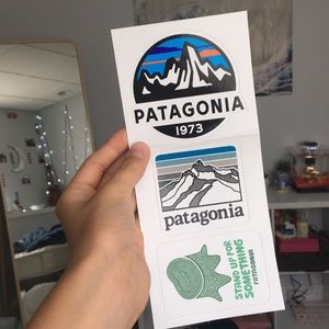 ✨Patagonia stickers✨